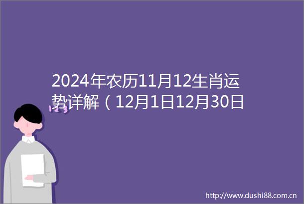 2024年农历11月12生肖运势详解（12月1日12月30日）