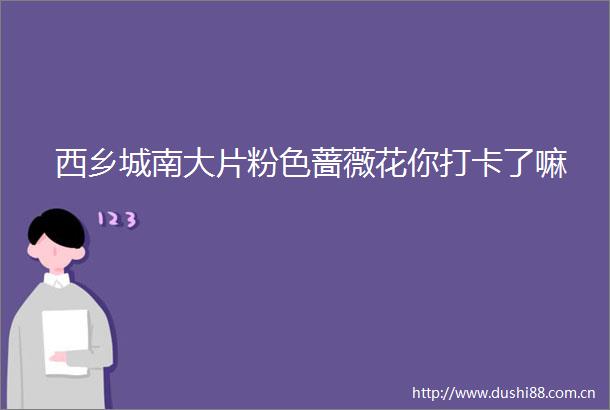 西乡城南大片粉色蔷薇花你打卡了嘛