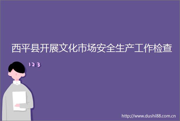 西平县开展文化市场安全生产工作检查