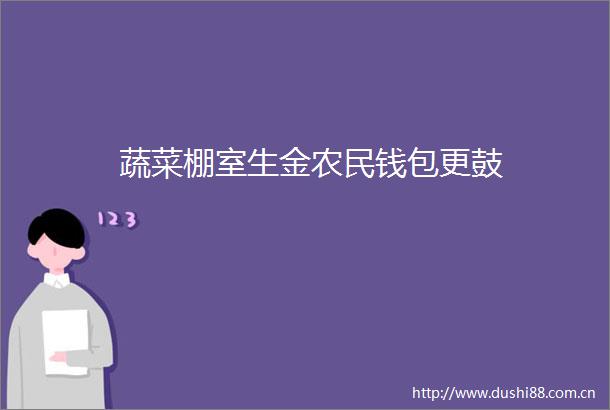 蔬菜棚室生金农民钱包更鼓