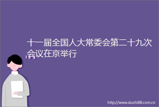 十一届全国人大常委会第二十九次会议在京举行