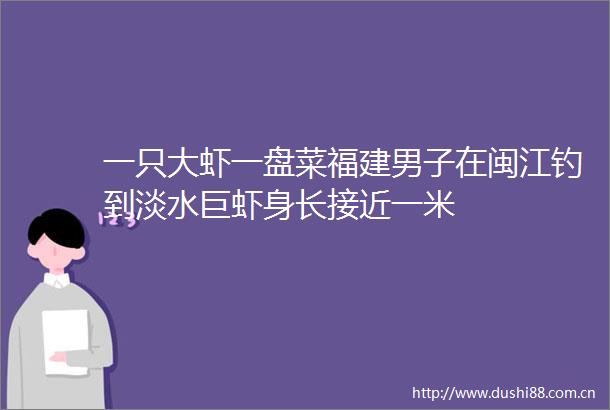 一只大虾一盘菜福建男子在闽江钓到淡水巨虾身长接近一米