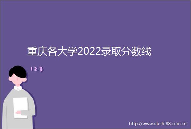 重庆各大学2022录取分数线