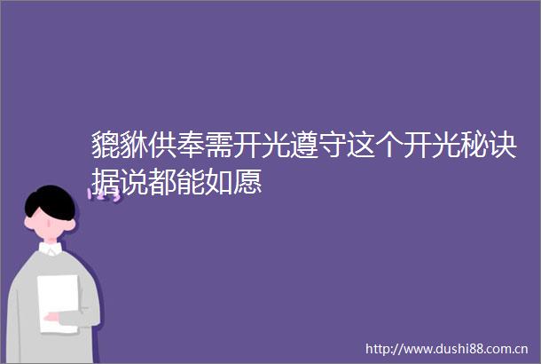 貔貅供奉需开光遵守这个开光秘诀据说都能如愿