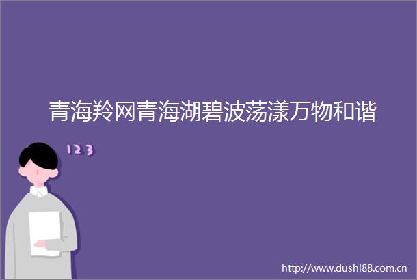 青海羚网青海湖碧波荡漾万物和谐