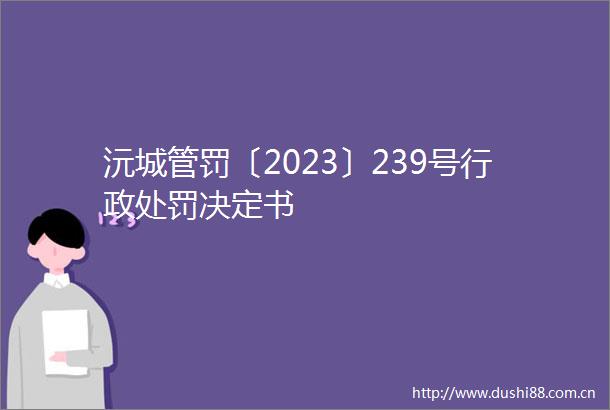 沅罚〔2023〕239号行政决定书