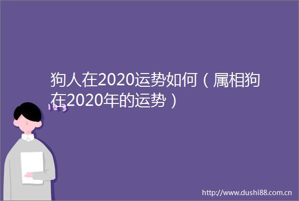 狗人在2020运势如何（属相狗在2020年的运势）