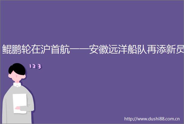 鲲鹏轮在沪首航一一安徽远洋船队再添新员