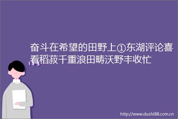 奋斗在希望的田野上①东湖评论喜看稻菽千重浪田畴沃野丰收忙