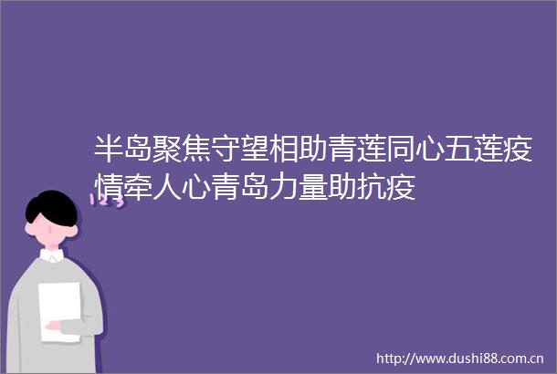 半岛聚焦守望相助青莲同心五莲疫情牵人心青岛力量助抗疫