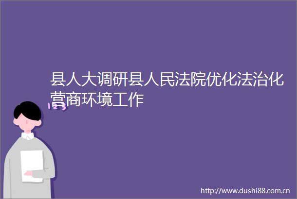 县人大调研县优化法治化营商环境工作