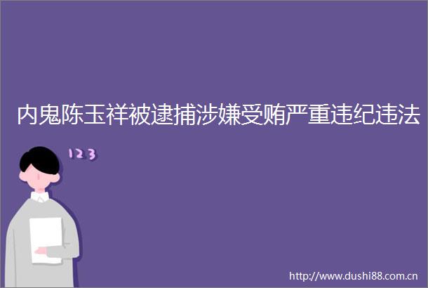 内鬼陈玉祥被逮捕严重