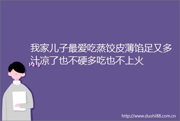 我家儿子最爱吃蒸饺皮薄馅足又多汁凉了也不硬多吃也不上火