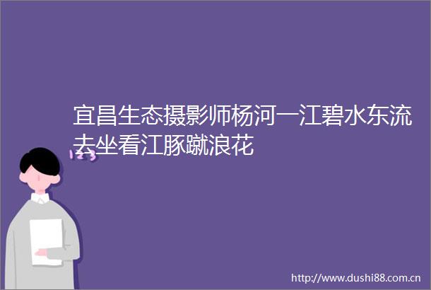 宜昌生态摄影师杨河一江碧水东流去坐看江豚蹴浪花