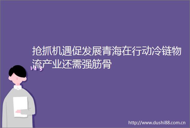 抢抓机遇促发展青海在行动冷链物流产业还需强筋骨