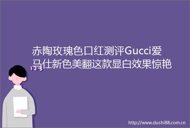 赤陶玫瑰色口红测评Gucci爱马仕新色美翻这款显白效果惊艳