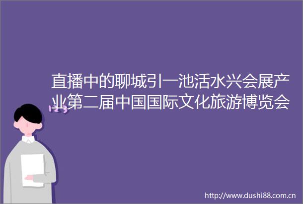 直播中的聊城引一池活水兴会展产业第二届国际文化旅游博览会聊城展区观展侧记之六