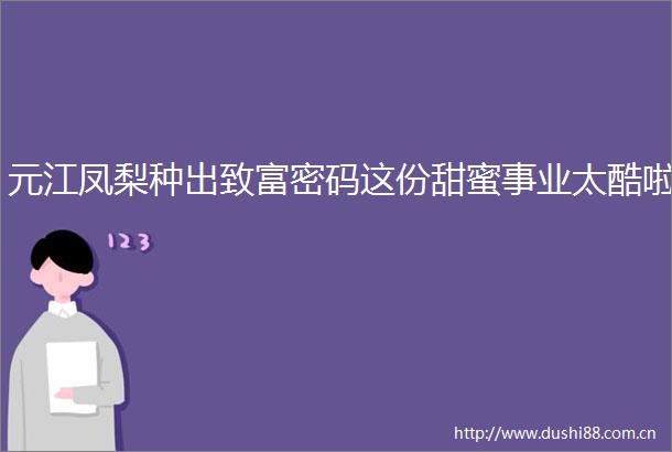 元江凤梨种出致富密码这份甜蜜事业太酷啦