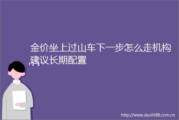 金价坐上过山车下一步怎么走机构建议长期配置