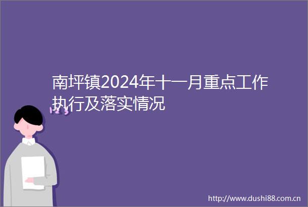 南坪镇2024年十一月重点工作执行及落实情况
