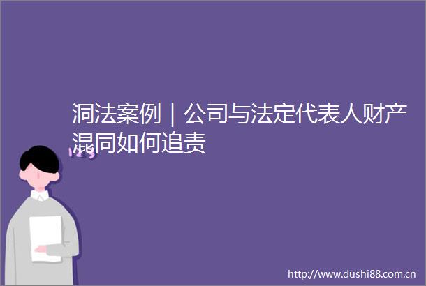 洞法案例｜公司与法定代表人财产混同如何追责