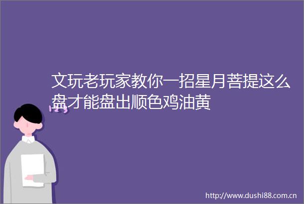 文玩老玩家教你一招星月菩提这么盘才能盘出顺色鸡油黄