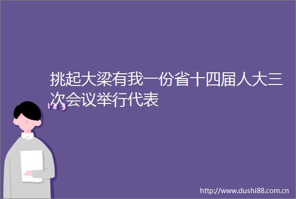 挑起大梁有我一份省十四届人大三次会议举行代表