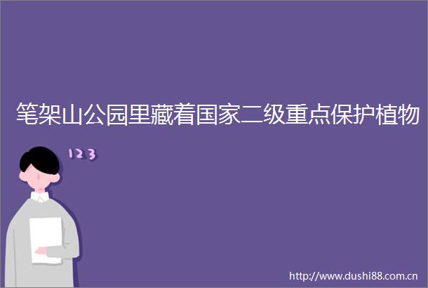 笔架山公园里藏着二级重点保护植物