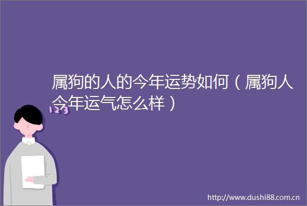 属狗的人的今年运势如何（属狗人今年运气怎么样）