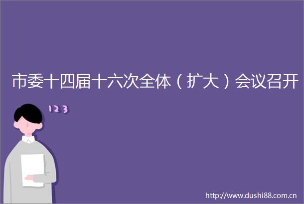市委十四届十六次全体（扩大）会议召开