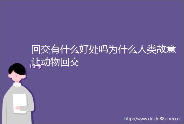 回交有什么好处吗为什么人类故意让动物回交