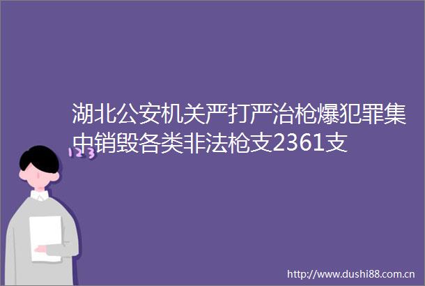 湖北机关严打严治爆集中销毁各类支2361支