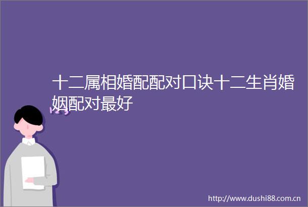 十二属相婚配配对口诀十二生肖婚姻配对最好