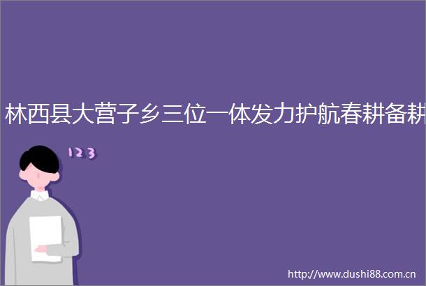 林西县大营子乡三位一体发力护航春耕备耕