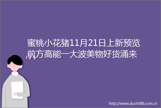 蜜桃小花猪11月21日上新预览前方高能一美物好货涌来