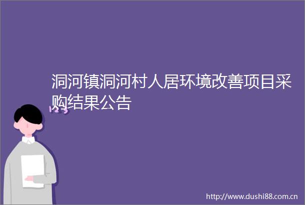 洞河镇洞河村人居环境改善项目采购结果公告