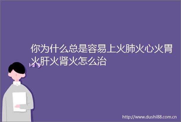 你为什么总是容易上火肺火心火胃火肝火肾火怎么治