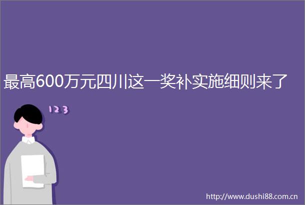 最高600万元四川这一奖补实施细则来了