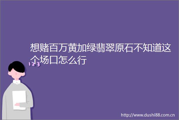 想赌百万黄加绿翡翠原石不知道这个场口怎么行