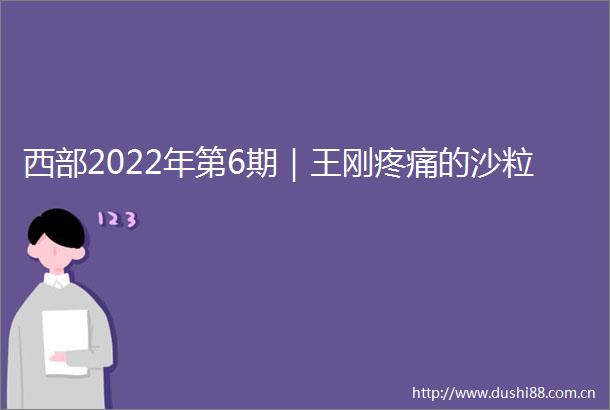 西部2022年第6期｜王刚疼痛的沙粒