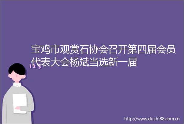 宝鸡市观赏石协会召开第四届会员代表大会杨斌当选新一届