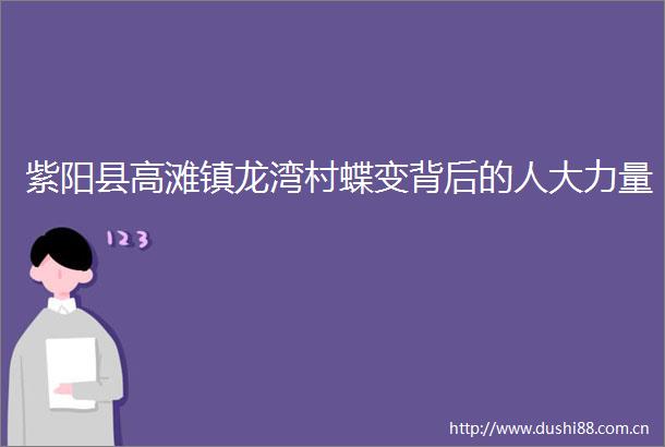 紫阳县高滩镇龙湾村蝶变背后的人大力量