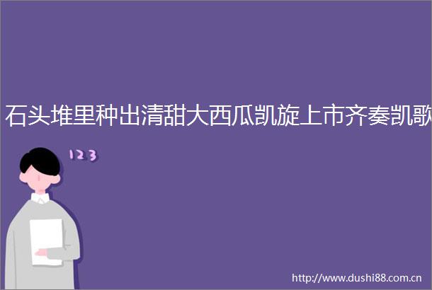 石头堆里种出清甜大西瓜凯旋上市齐奏凯歌