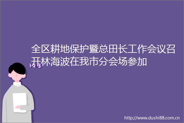 全区耕地保护暨总田长工作会议召开林海波在我市分会场参加
