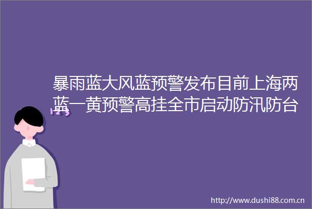 暴雨蓝大风蓝预警发布目前上海两蓝一黄预警高挂全市启动防汛防台四级响应行动