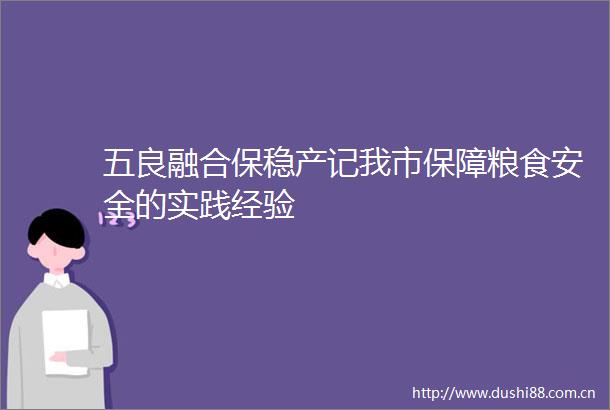 五良融合保稳产记我市保障粮食安全的实践经验