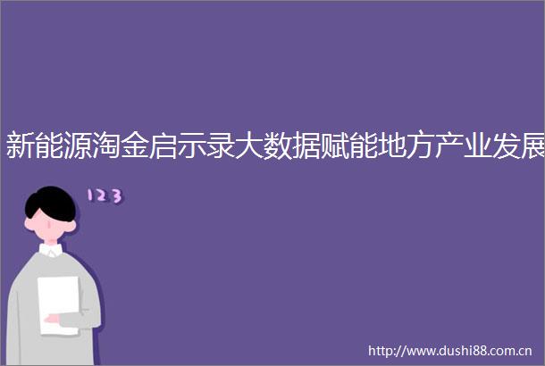 新能源淘金启示录大数据赋能地方产业发展