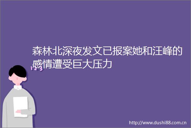 森林北深夜发文已报案她和汪峰的感情遭受巨大压力