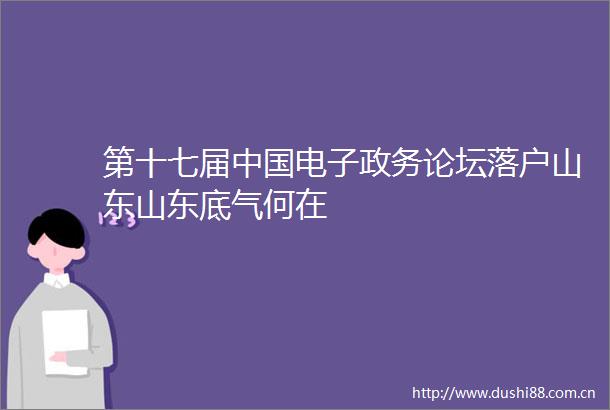 第十七届电子政务论坛落户山东山东底气何在
