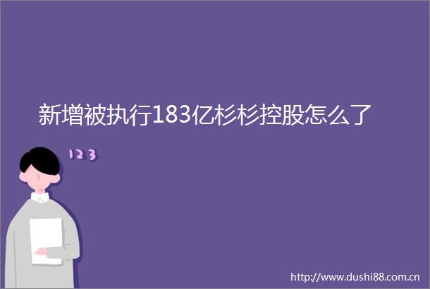 新增被执行183亿杉杉控股怎么了